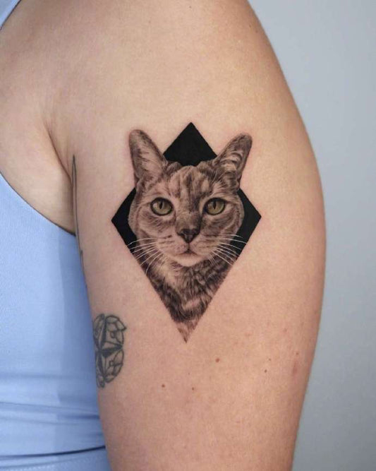 Modèle de tatouage de chat. - tktxfrance