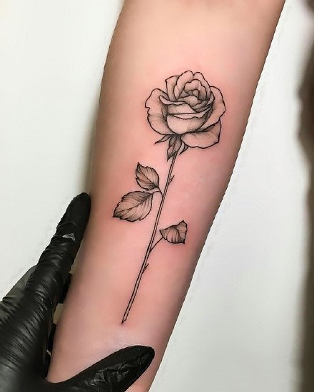 Modèles de tatouage de rose - tktxfrance